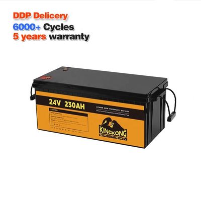 24V 50Ah 60Ah 100Ah 200Ah 230Ah 300Ah 400Ah 460Ah লোহা লিথিয়াম LifePo4 ব্যাটারি বিএমএস সহ