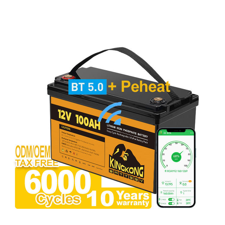 OEM ODM 12V 100Ah LiFePO4 Battery For Solar RV Caravan Marine In US জার্মানি যুক্তরাজ্য কানাডা