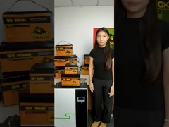 12V 48V 120Ah 150Ah 170Ah 200Ah 300Ah LiFePO4 লিথিয়াম আয়ন ব্যাটারি প্যাক সাবমেরিনের জন্য