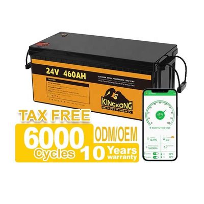24V 50Ah 60Ah 100Ah 200Ah 230Ah 300Ah 400Ah 460Ah লোহা লিথিয়াম LifePo4 ব্যাটারি বিএমএস সহ